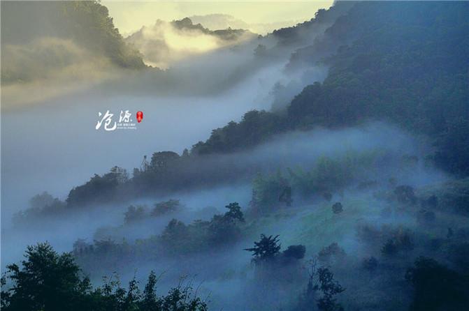 逃离外星人森林