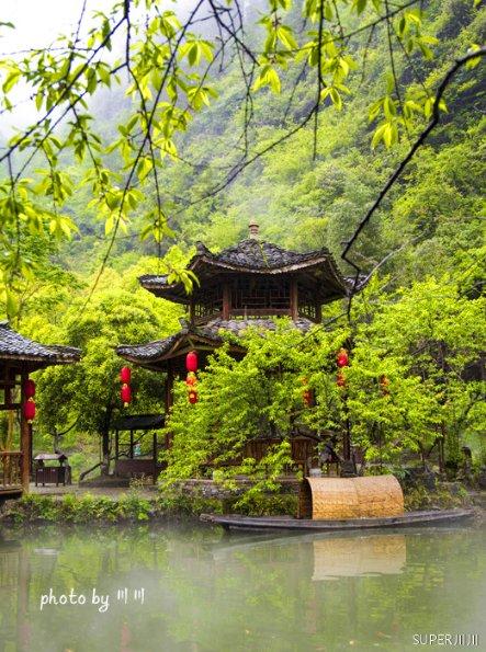 女子称被邻居诬陷毒狗,遭对方全家堵门辱骂恐吓:小心它找你索命