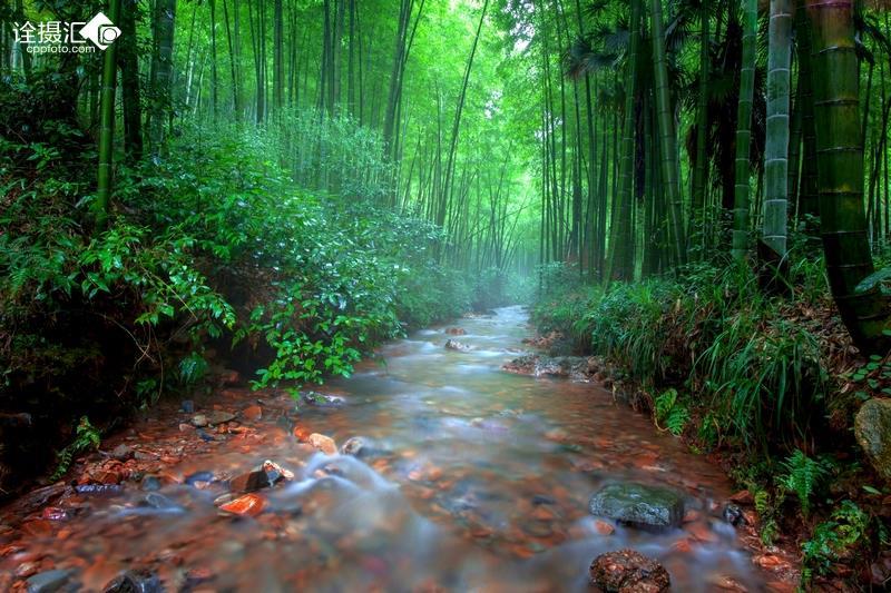 虫虫助手下载