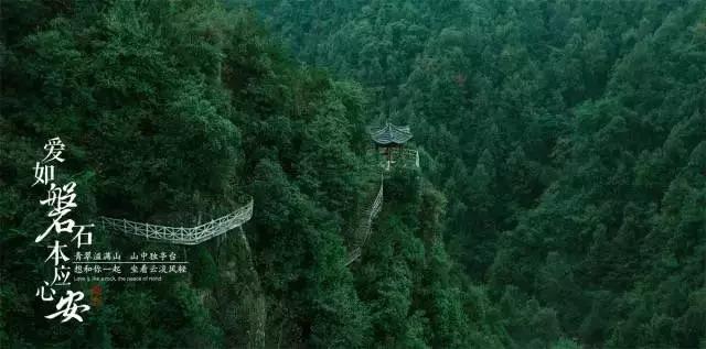 逃离沙地