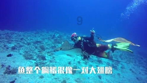 召唤神龙万宁版祖龙